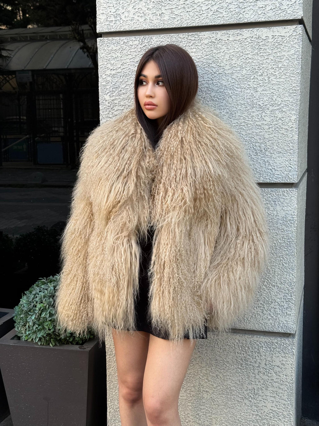 Luxury Camel Tibetan Fur Coat, Women Short Mongolian Lamb Fur Shaggy Jacket, Full Skin