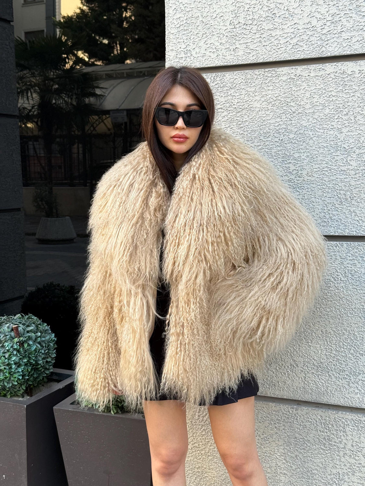 Luxury Camel Tibetan Fur Coat, Women Short Mongolian Lamb Fur Shaggy Jacket, Full Skin