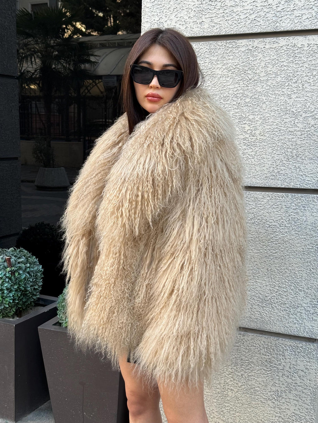 Luxury Camel Tibetan Fur Coat, Women Short Mongolian Lamb Fur Shaggy Jacket, Full Skin