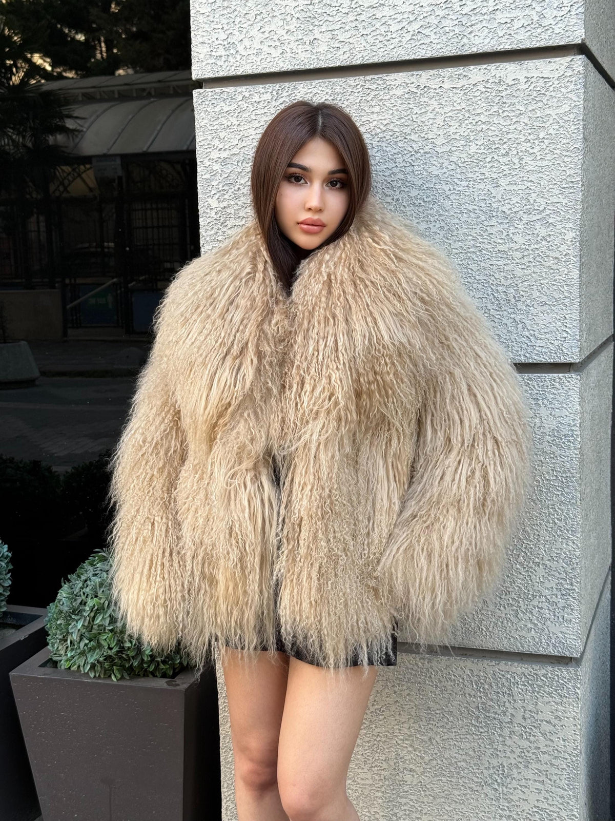 Luxury Camel Tibetan Fur Coat, Women Short Mongolian Lamb Fur Shaggy Jacket, Full Skin