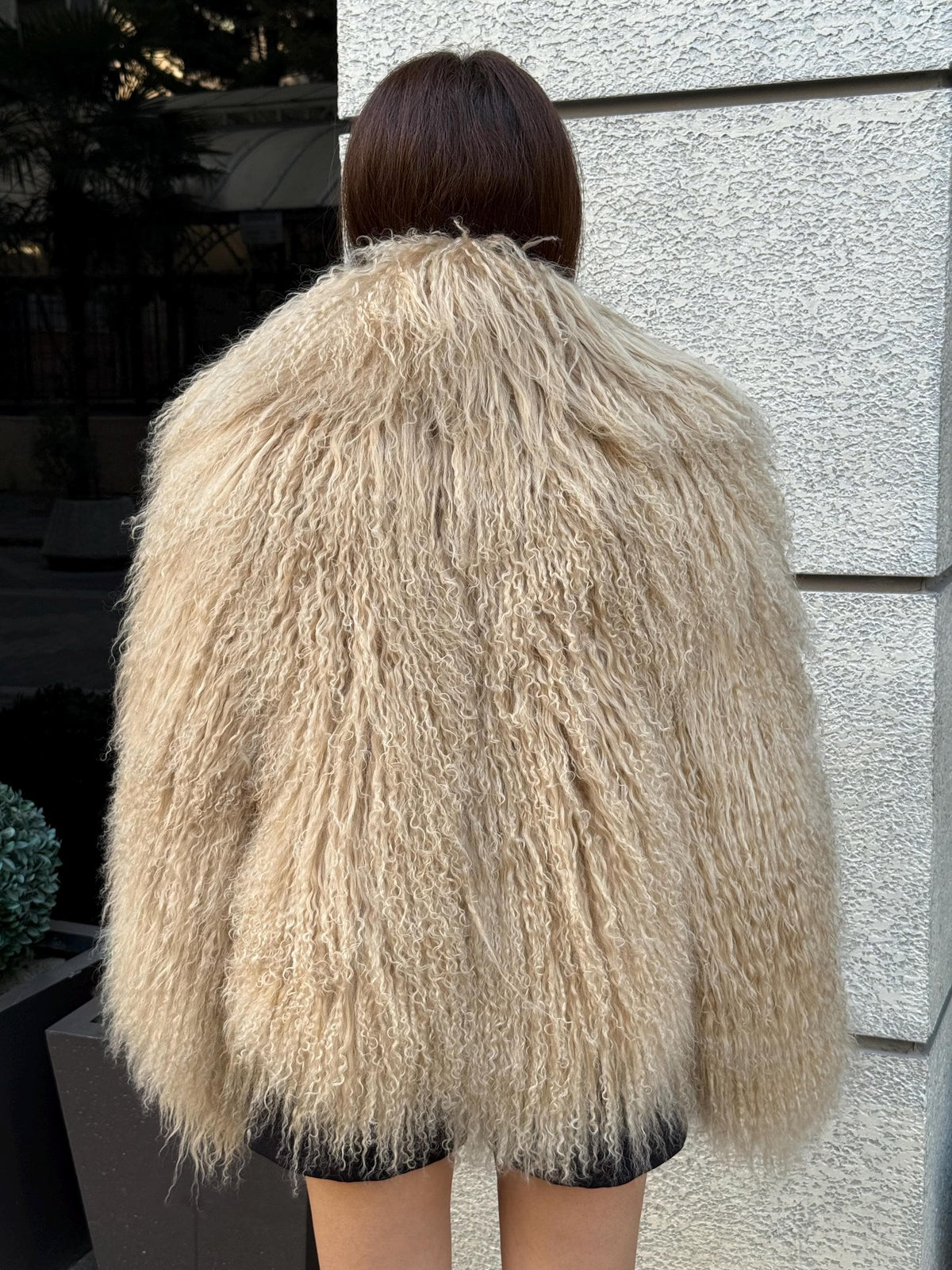 Luxury Camel Tibetan Fur Coat, Women Short Mongolian Lamb Fur Shaggy Jacket, Full Skin
